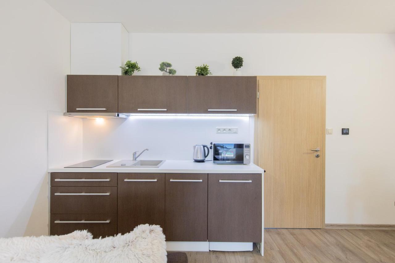Apartmán Sophia 4 s terasou a bazénem Velké Losiny Exterior foto